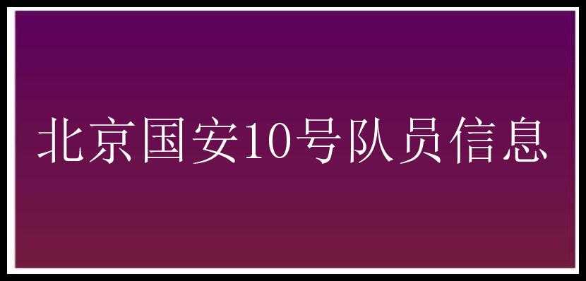 北京国安10号队员信息