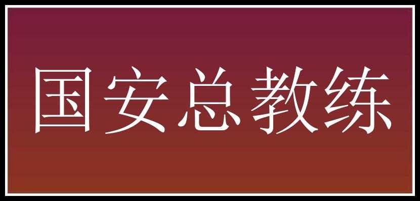 国安总教练