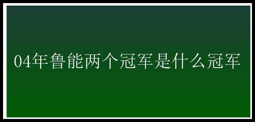 04年鲁能两个冠军是什么冠军