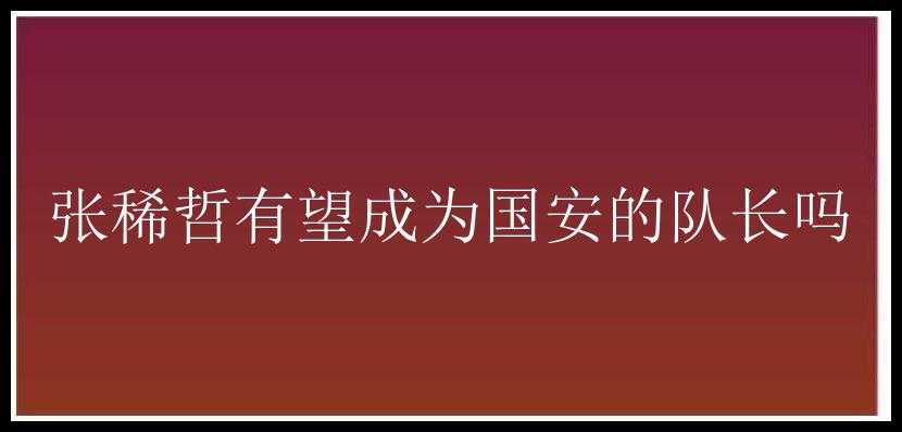 张稀哲有望成为国安的队长吗