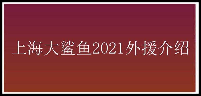 上海大鲨鱼2021外援介绍