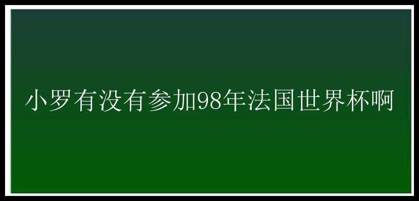 小罗有没有参加98年法国世界杯啊