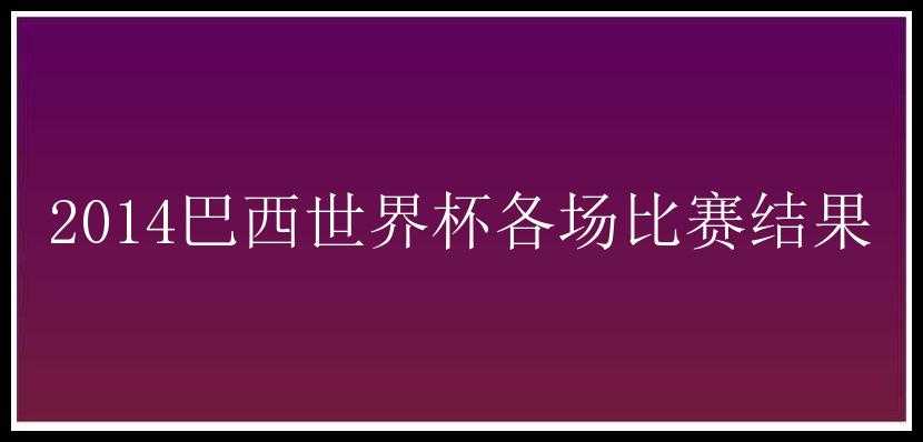 2014巴西世界杯各场比赛结果