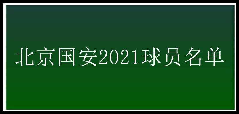 北京国安2021球员名单