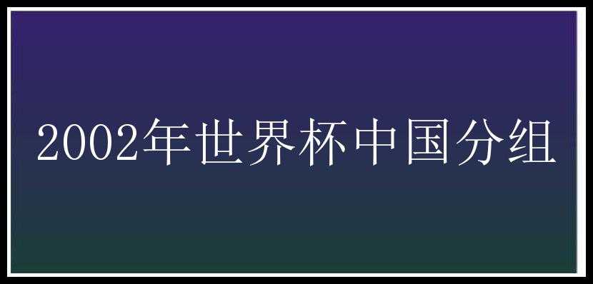 2002年世界杯中国分组