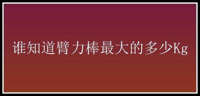 谁知道臂力棒最大的多少Kg