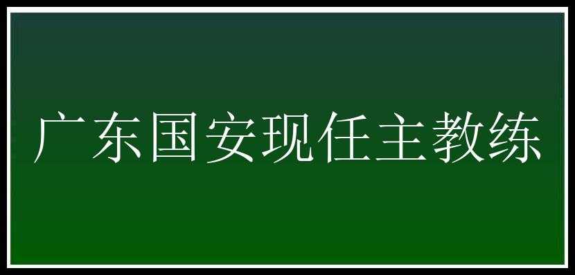 广东国安现任主教练