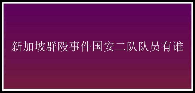 新加坡群殴事件国安二队队员有谁