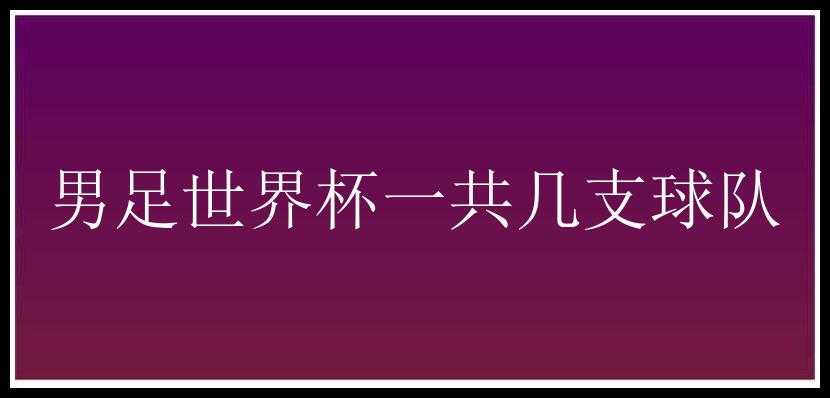 男足世界杯一共几支球队