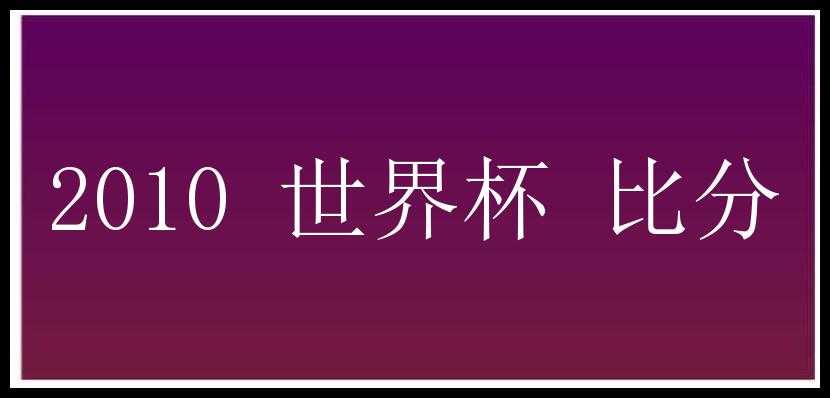 2010 世界杯 比分