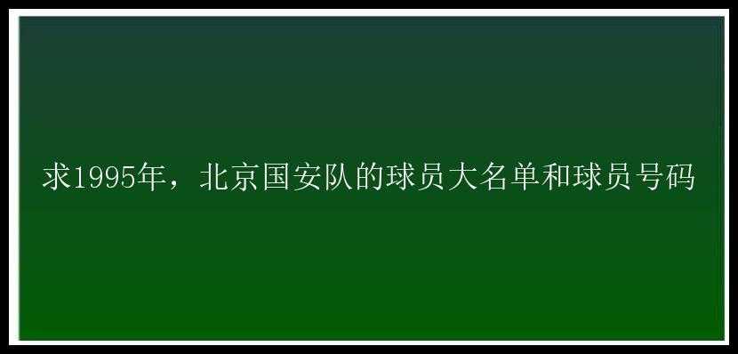 求1995年，北京国安队的球员大名单和球员号码