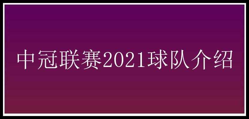 中冠联赛2021球队介绍