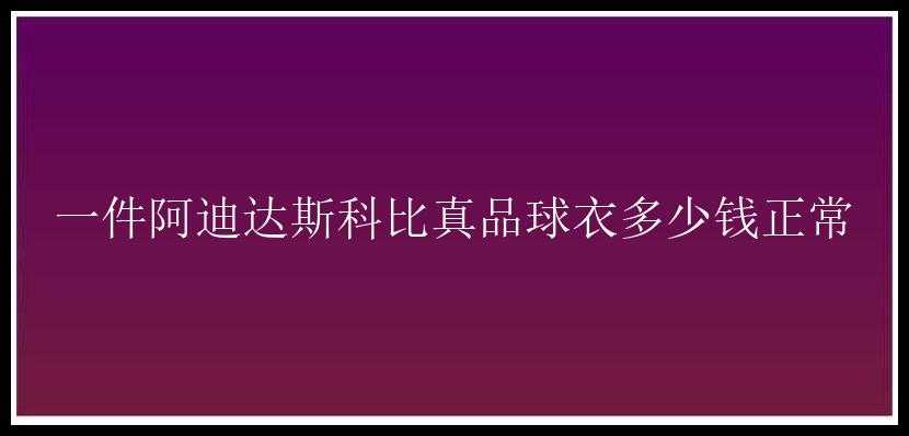 一件阿迪达斯科比真品球衣多少钱正常