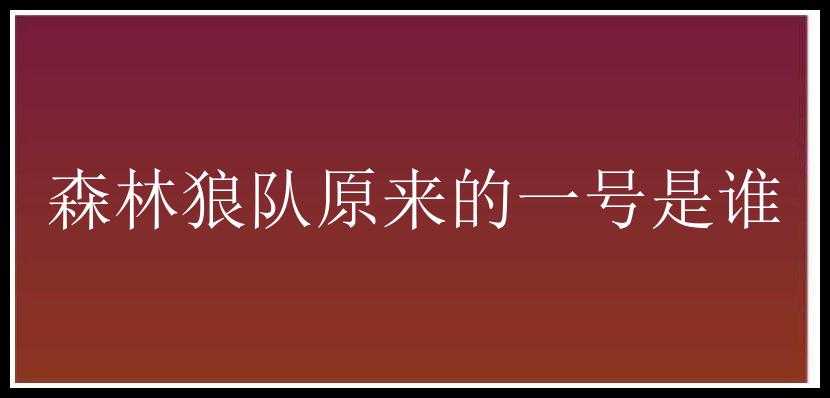 森林狼队原来的一号是谁