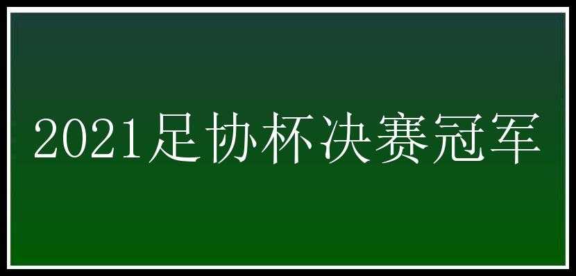 2021足协杯决赛冠军