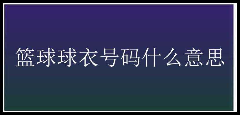 篮球球衣号码什么意思