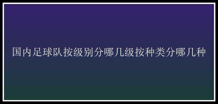 国内足球队按级别分哪几级按种类分哪几种