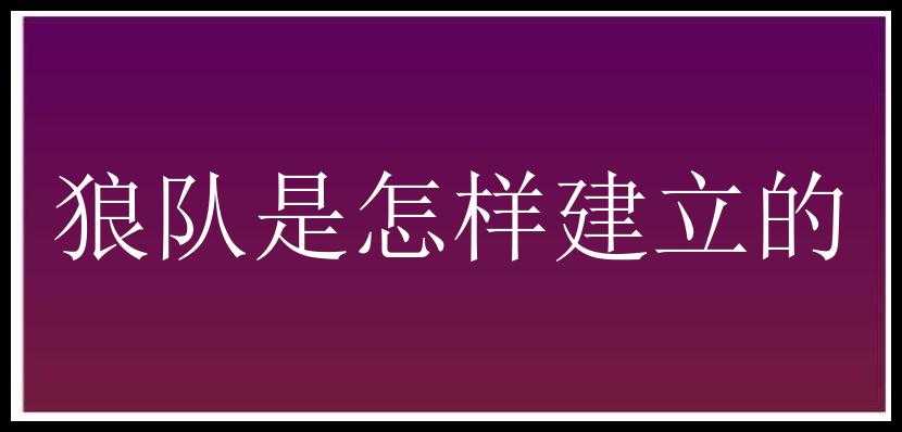 狼队是怎样建立的