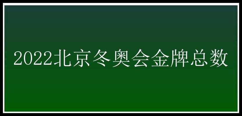 2022北京冬奥会金牌总数