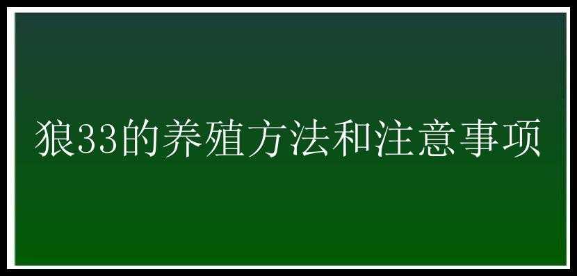 狼33的养殖方法和注意事项