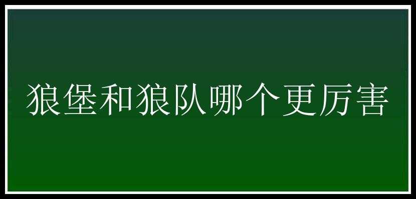 狼堡和狼队哪个更厉害