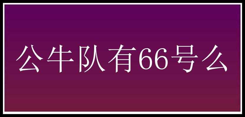 公牛队有66号么