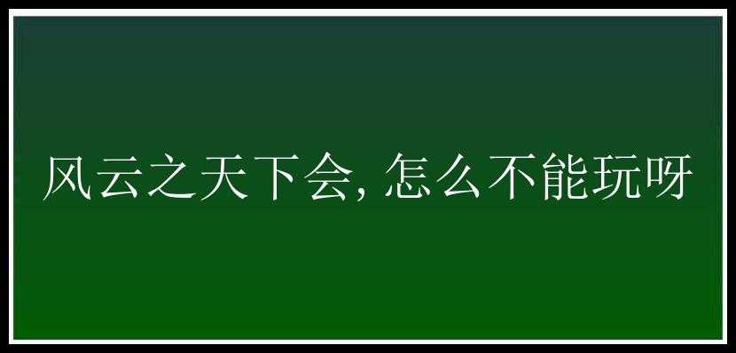 风云之天下会,怎么不能玩呀