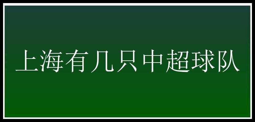 上海有几只中超球队