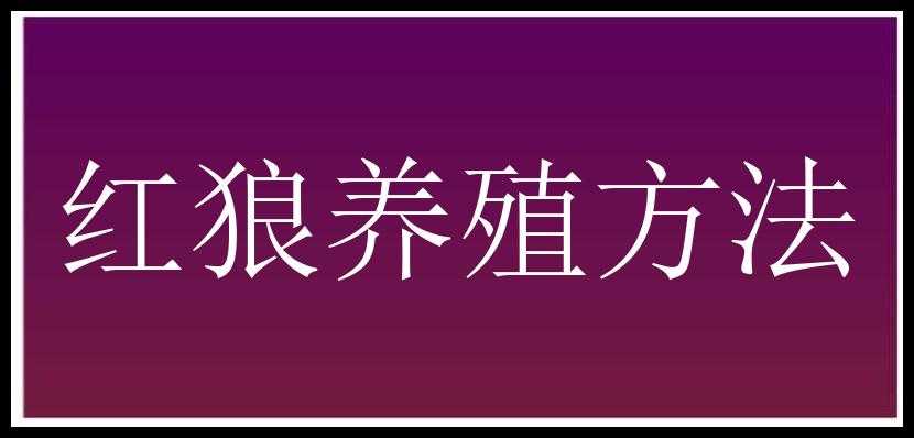 红狼养殖方法