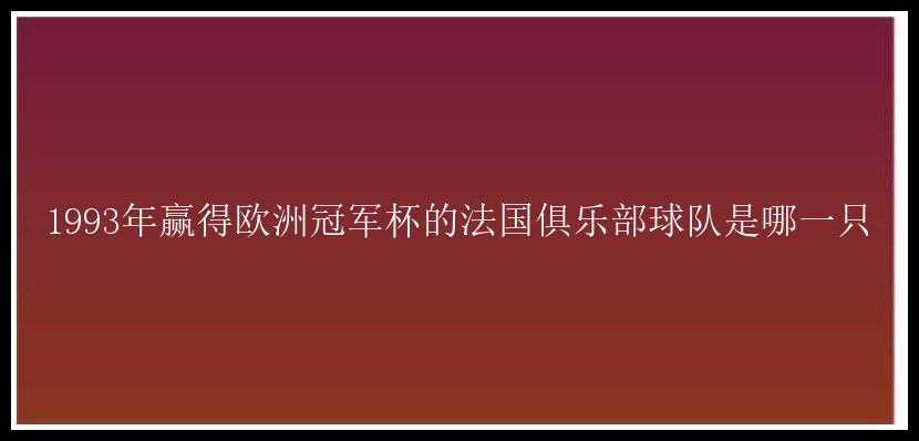 1993年赢得欧洲冠军杯的法国俱乐部球队是哪一只