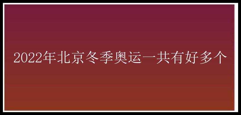 2022年北京冬季奥运一共有好多个