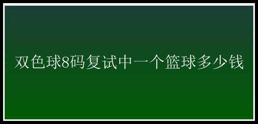 8码复试中一个篮球多少钱