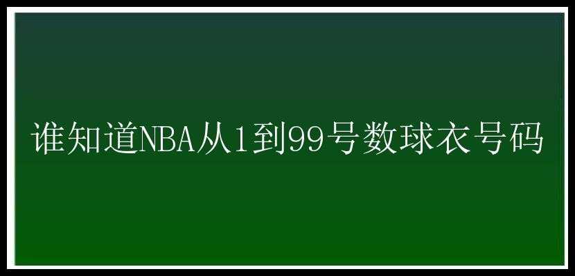 谁知道NBA从1到99号数球衣号码