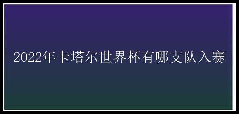 2022年卡塔尔世界杯有哪支队入赛