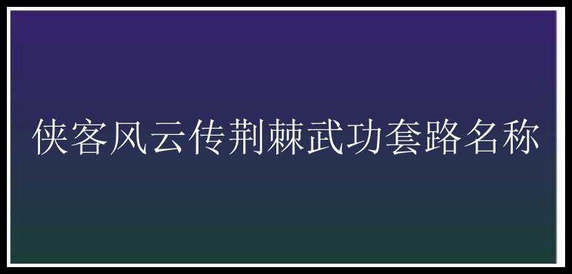 侠客风云传荆棘武功套路名称