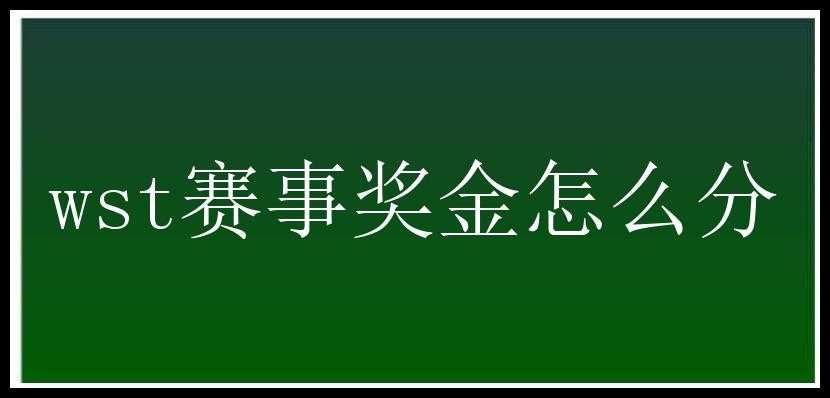 wst赛事奖金怎么分