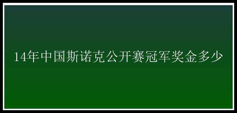 14年中国斯诺克公开赛冠军奖金多少