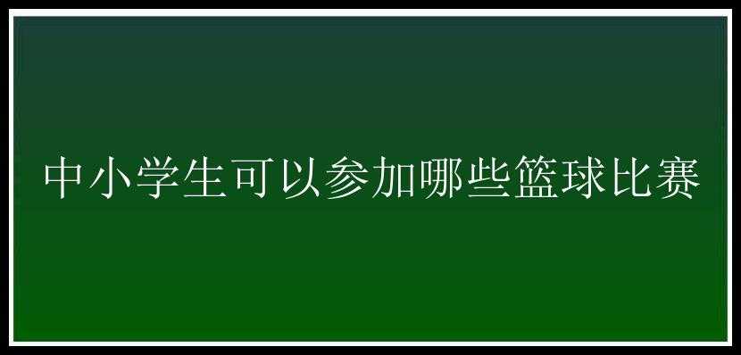 中小学生可以参加哪些篮球比赛