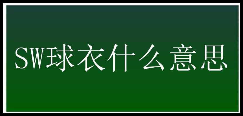 SW球衣什么意思