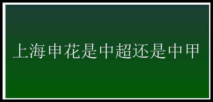 上海申花是中超还是中甲