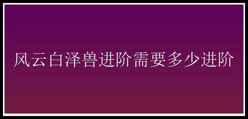 风云白泽兽进阶需要多少进阶