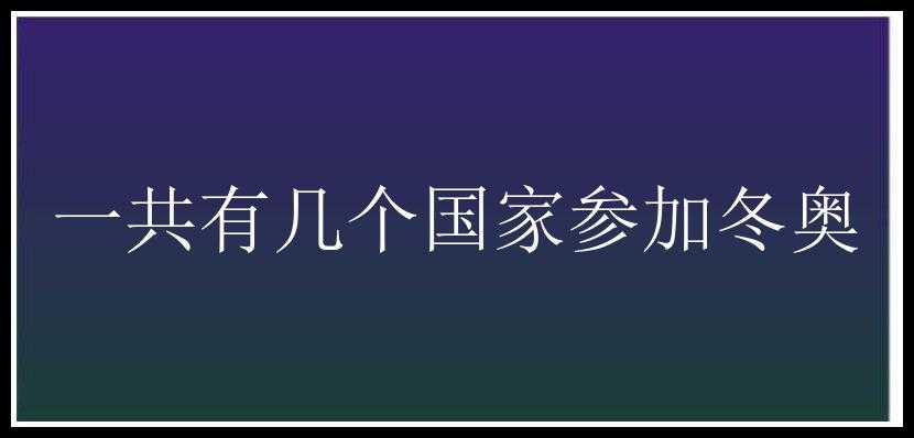 一共有几个国家参加冬奥