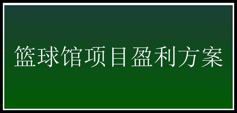 篮球馆项目盈利方案