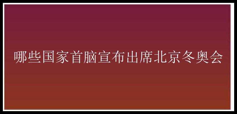 哪些国家首脑宣布出席北京冬奥会