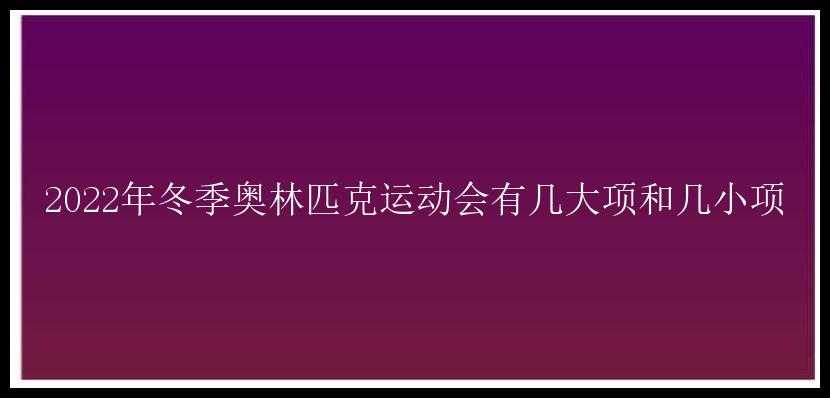 2022年冬季奥林匹克运动会有几大项和几小项