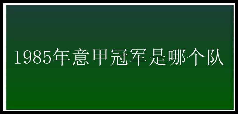 1985年意甲冠军是哪个队