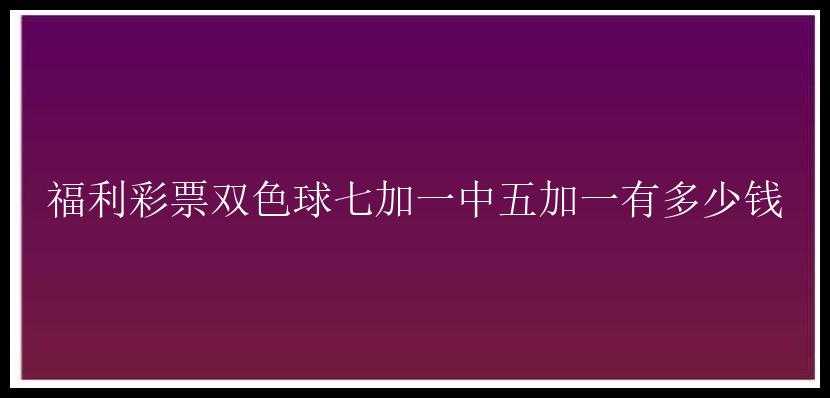 福利七加一中五加一有多少钱