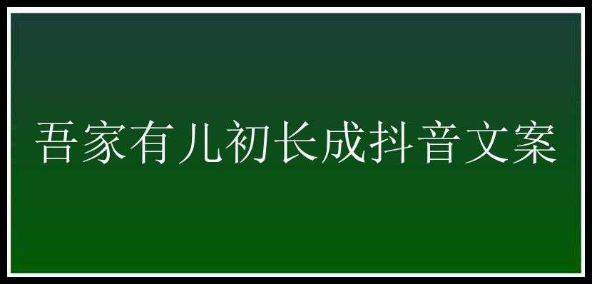 吾家有儿初长成抖音文案