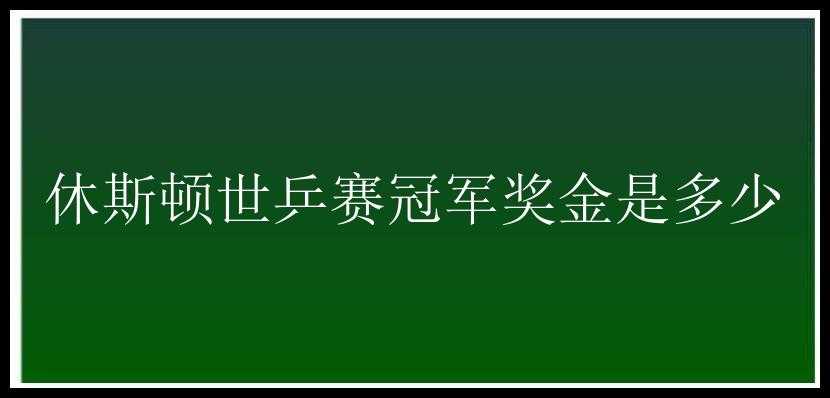 休斯顿世乒赛冠军奖金是多少