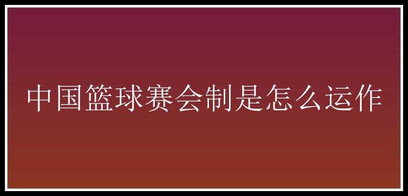 中国篮球赛会制是怎么运作